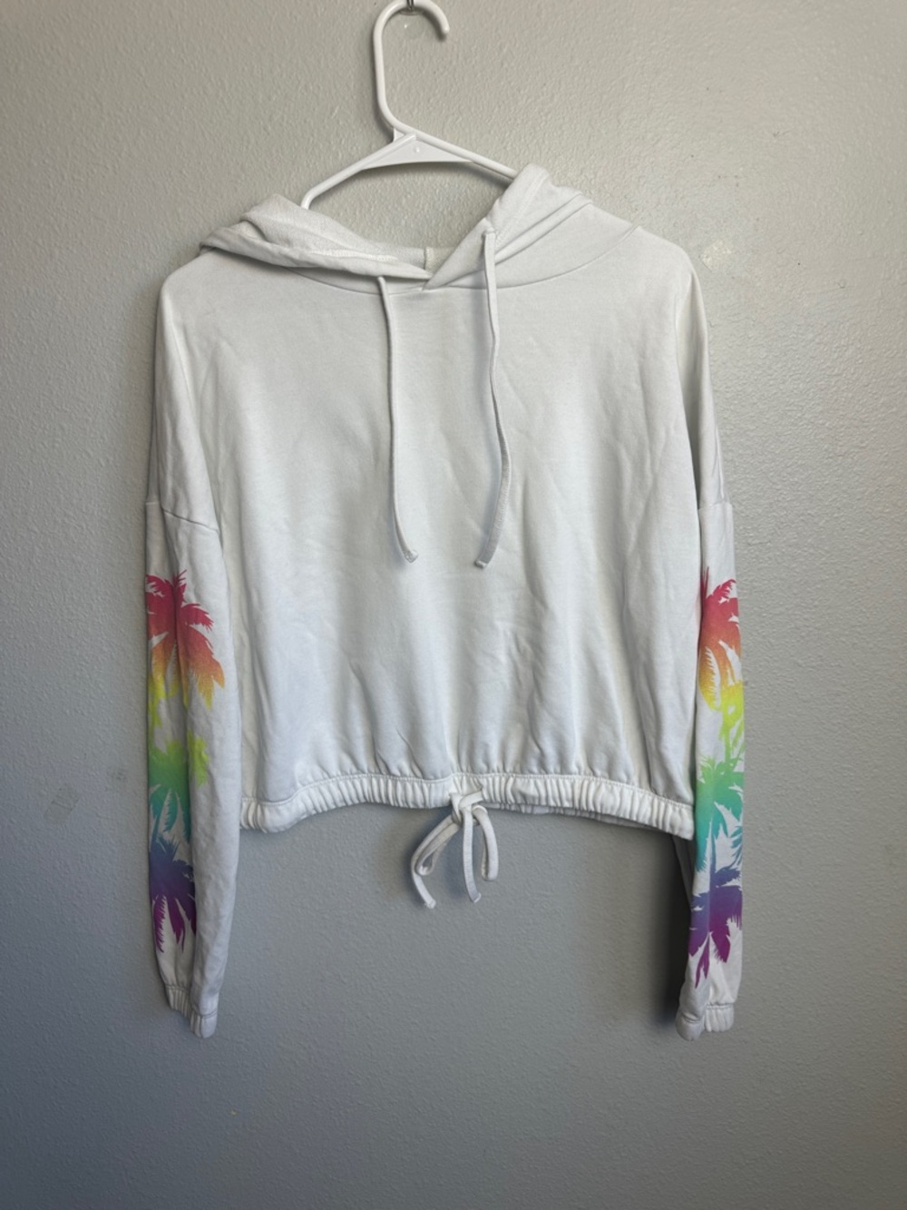 Beach Riot White Hooded cropped Sweatshirt with rainbow palm trees